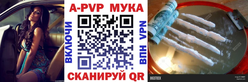 Купить закладки  Грозный  Alpha-PVP крисы CK 